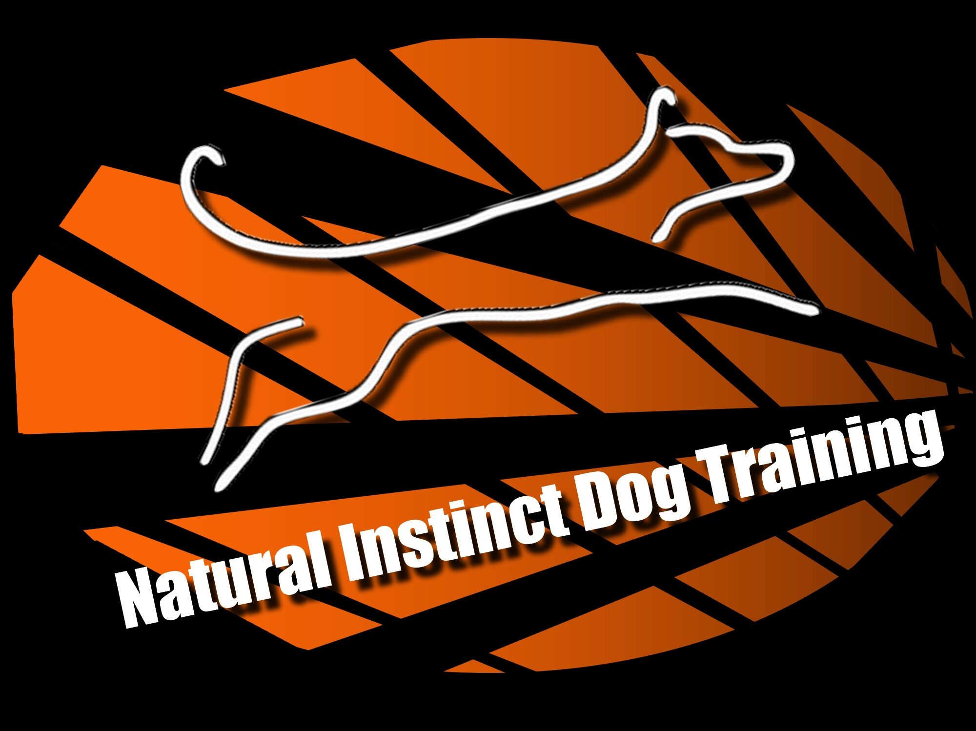 Animal Behavior and Communication The Natural Instinct Method Dog